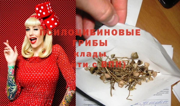 амф Богданович