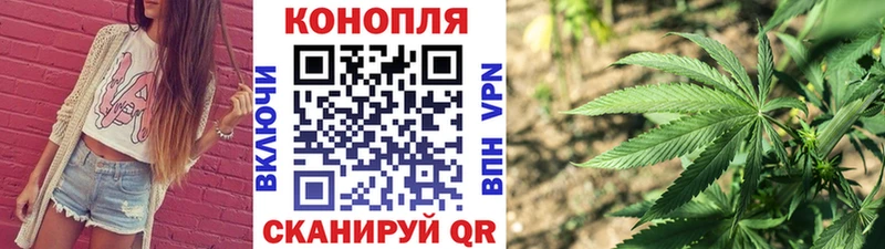 Купить закладки  Ефремов  Шишки марихуана сатива 